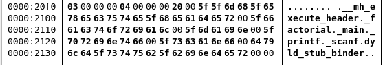 portion of a hex dump of a Mach-O binary